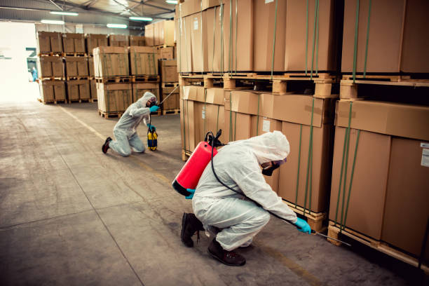 Best Local Pest Control Services  in Texanna, OK