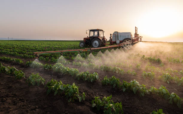 Pest Prevention Services in Texanna, OK