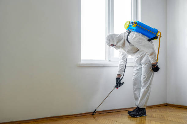 Best Pest Control Cost  in Texanna, OK