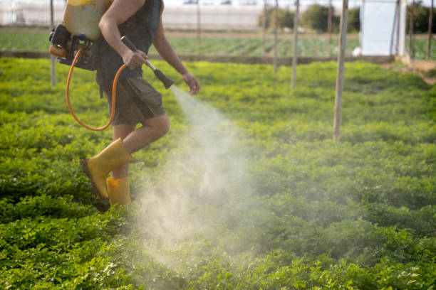 Best Best Pest Control Companies  in Texanna, OK