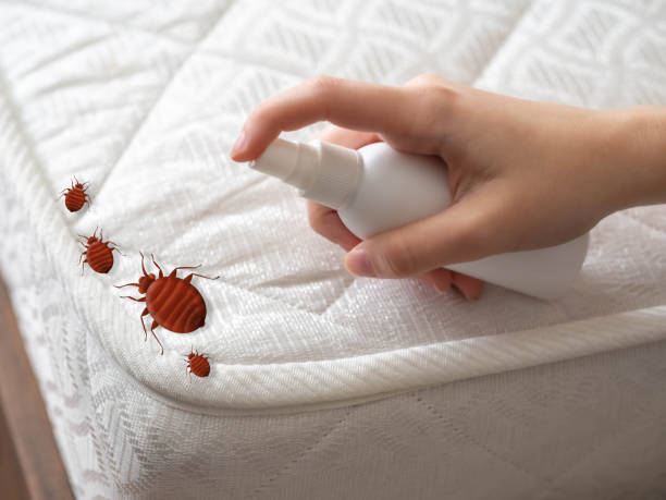Texanna, OK Pest Control Company